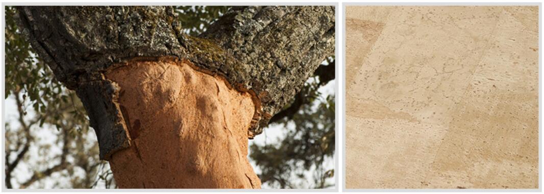 1.35m Width Waterproof and Durable Nature Cork Fabric/Leather for Bag, Notebook, Shoes, Hat Making