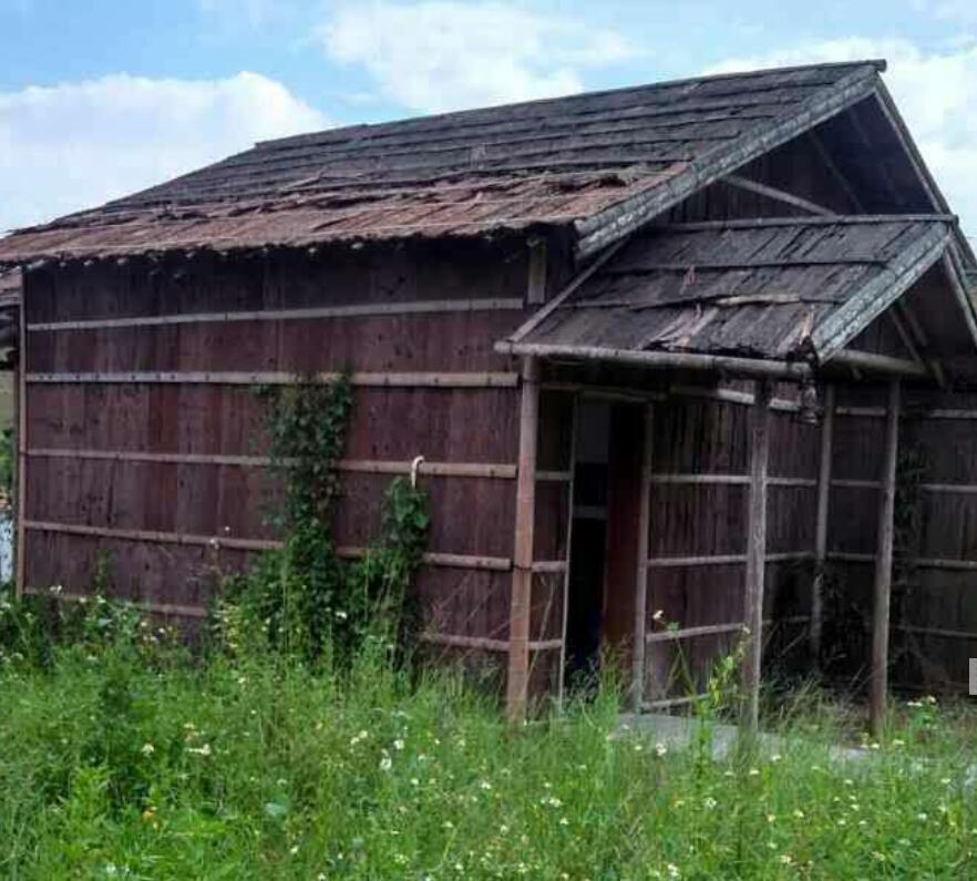 300*300mm Standard Size Frist-Layer Fir Bark tiles with Cork Back for Wall Decoration