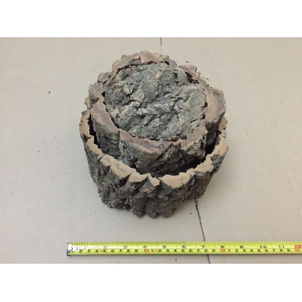 Environmental Round Cork Bark Planter for Indoor or Outdoor Gardening