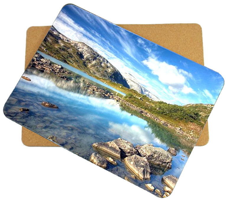 Hot Selling for home/hotel Wooden cork placemat, Customized size and printed logo