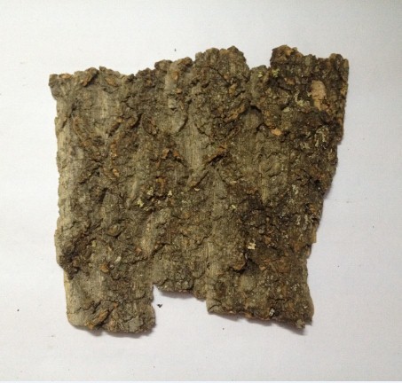 Randomly size,Frist-layer Nature Cork Bark Tiles,for Animals Enclosures