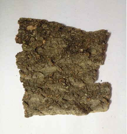 Randomly size,Frist-layer Nature Cork Bark Tiles,for Animals Enclosures